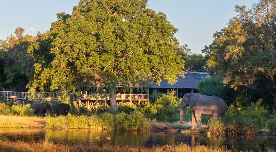 accommodation in kruger national