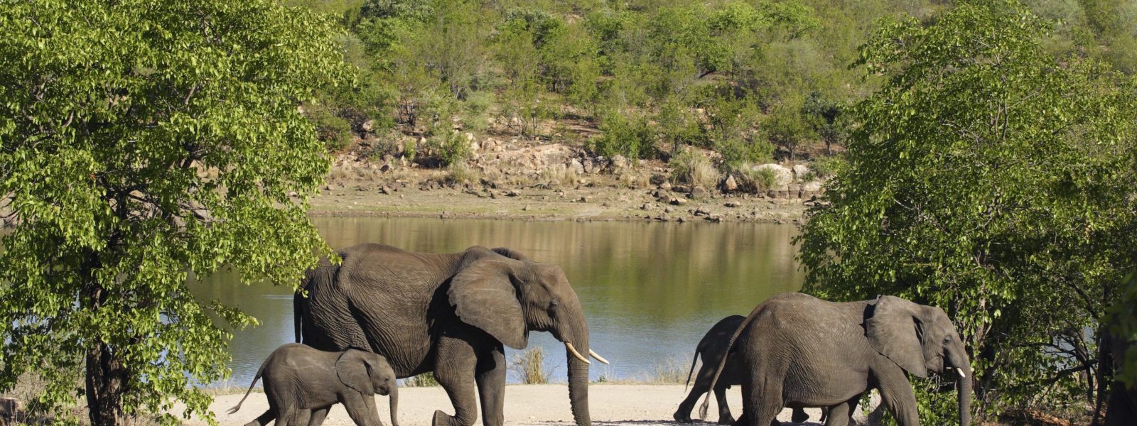 Kruger National Park