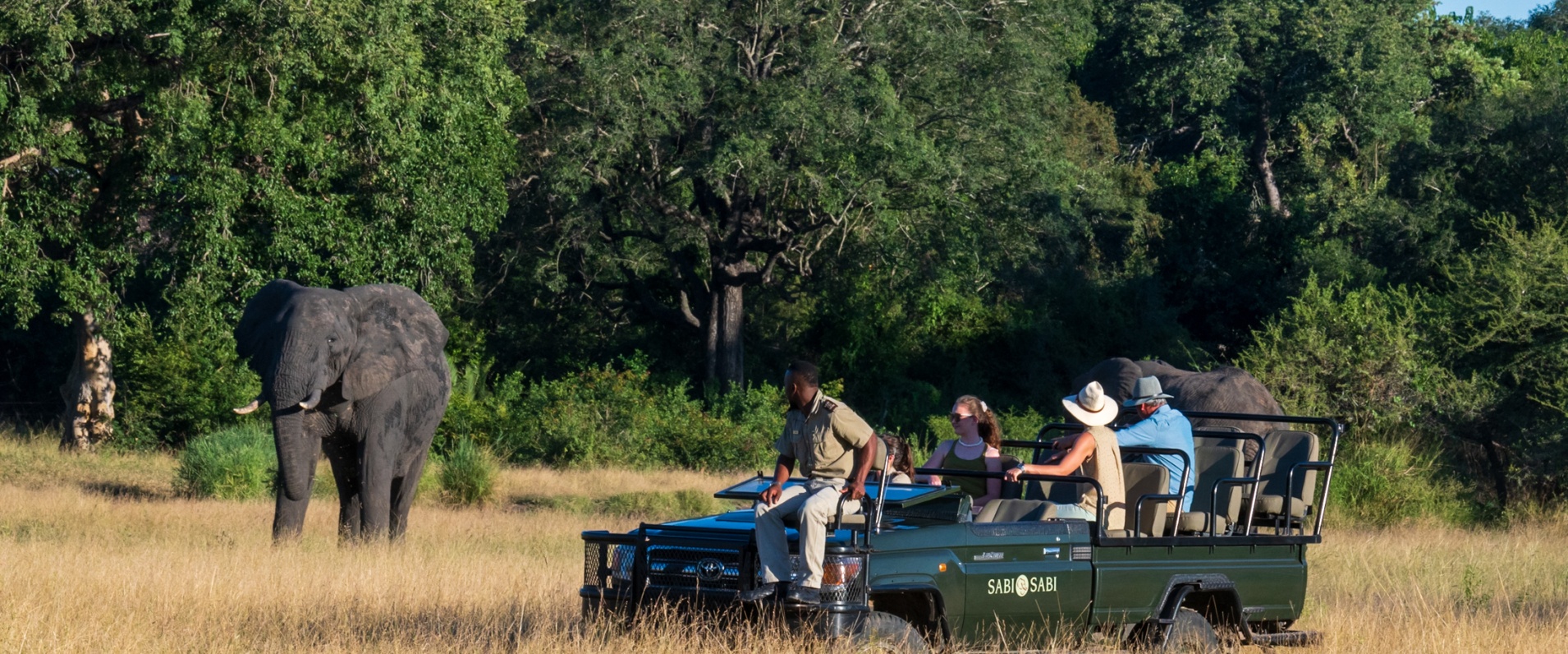 kruger np south africa