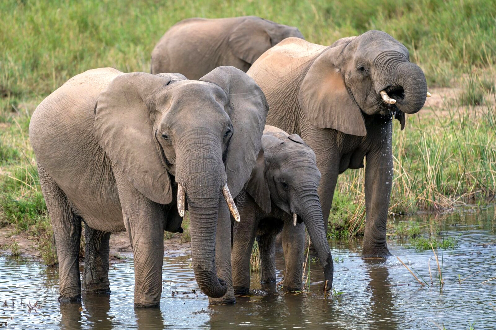 african trip packages