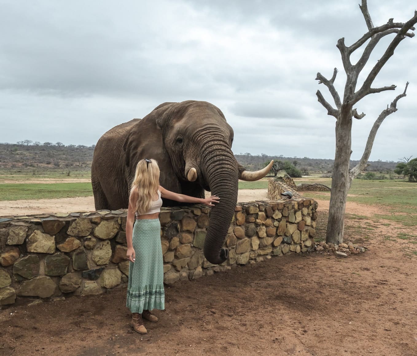 luxury safari africa