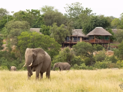 3-Day Small Group Safari at Tuskers Safari Lodge