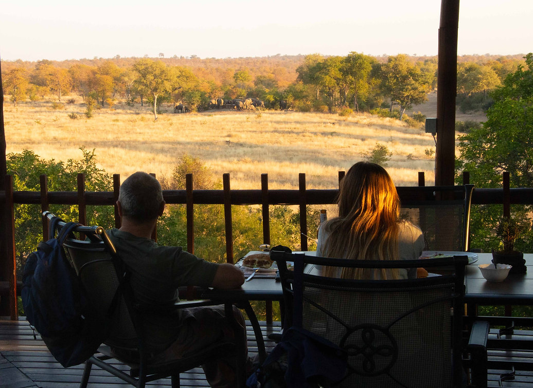 south africa luxury safari packages