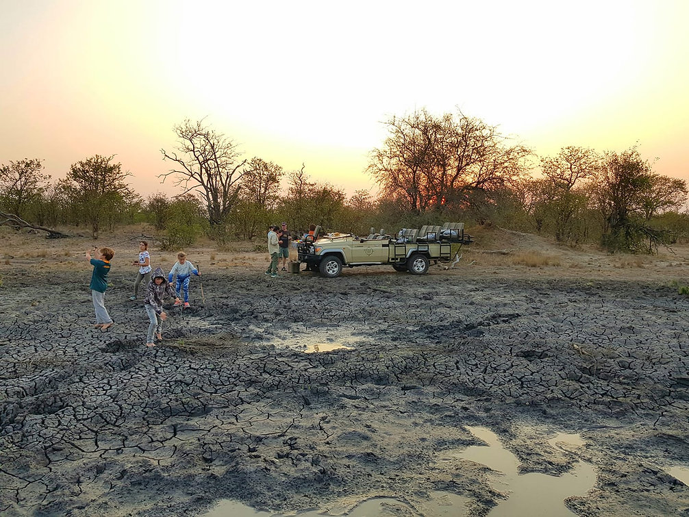 luxury safari experiences