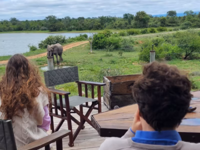 4-Day Bateleur’s Nest Lodge Family Safari in Klaserie