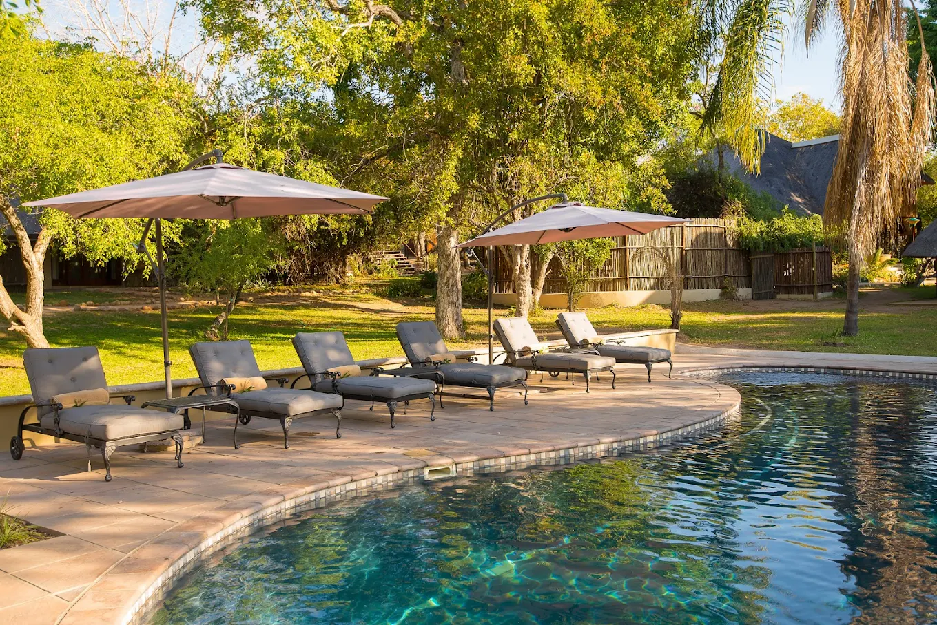 african safari tours cost