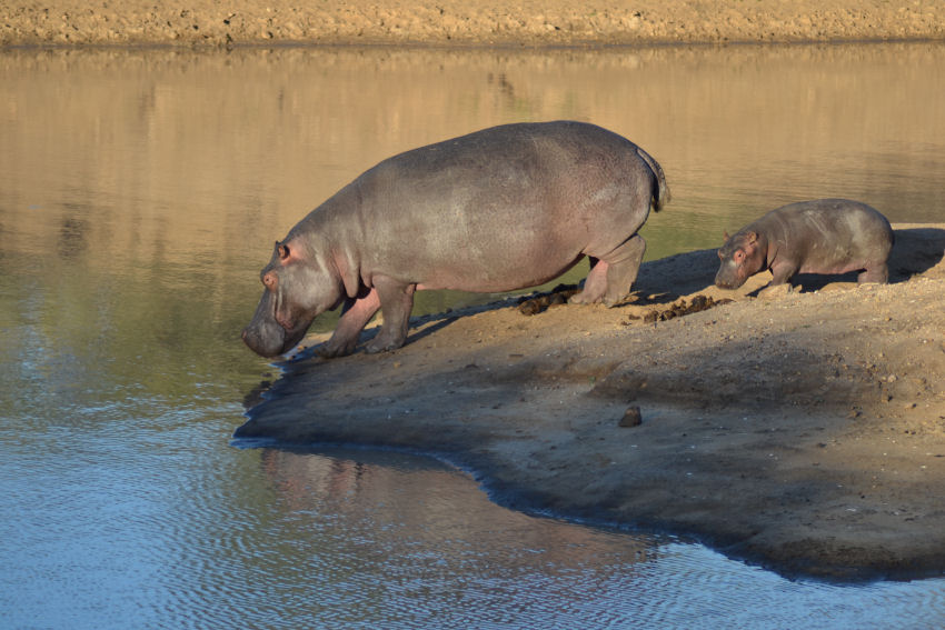 kruger mpumalanga international airport