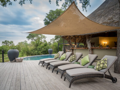 4-Day Kambaku Safari Lodge Safari