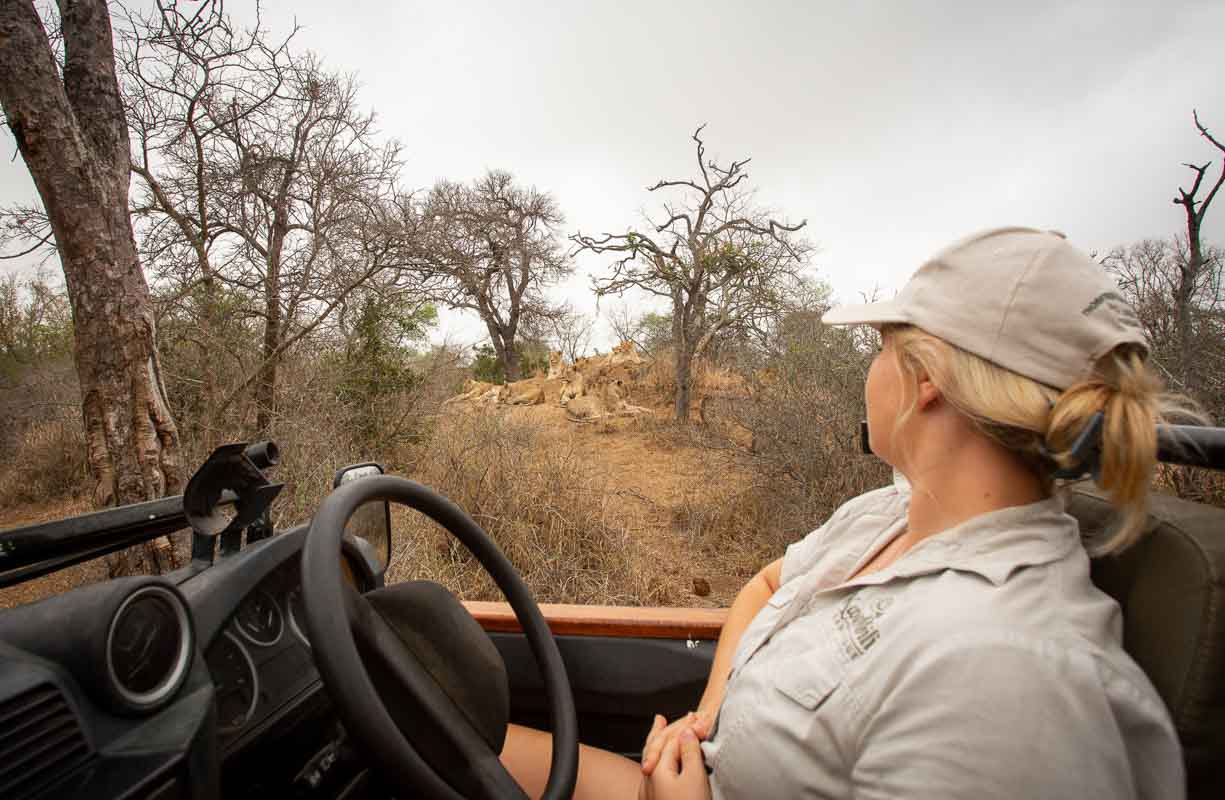 kruger game reserve accommodation