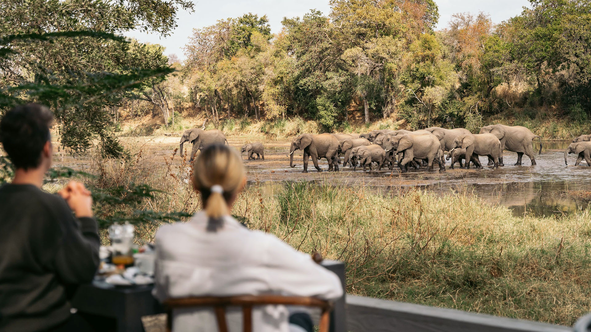 safaris kruger