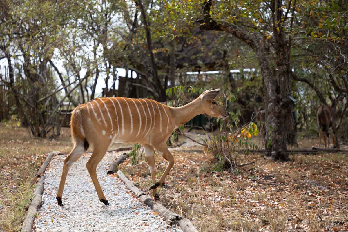 best kruger park accommodation