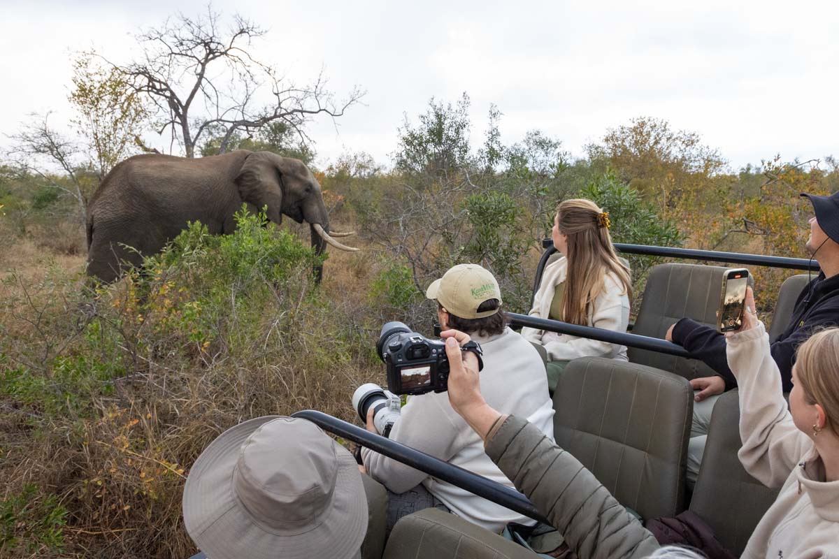 kruger luxury lodges