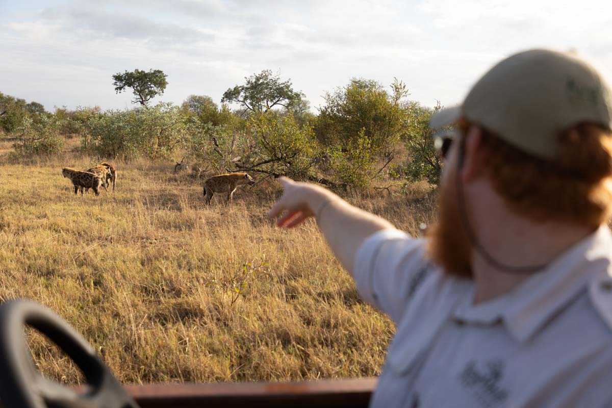 kruger national park hotel