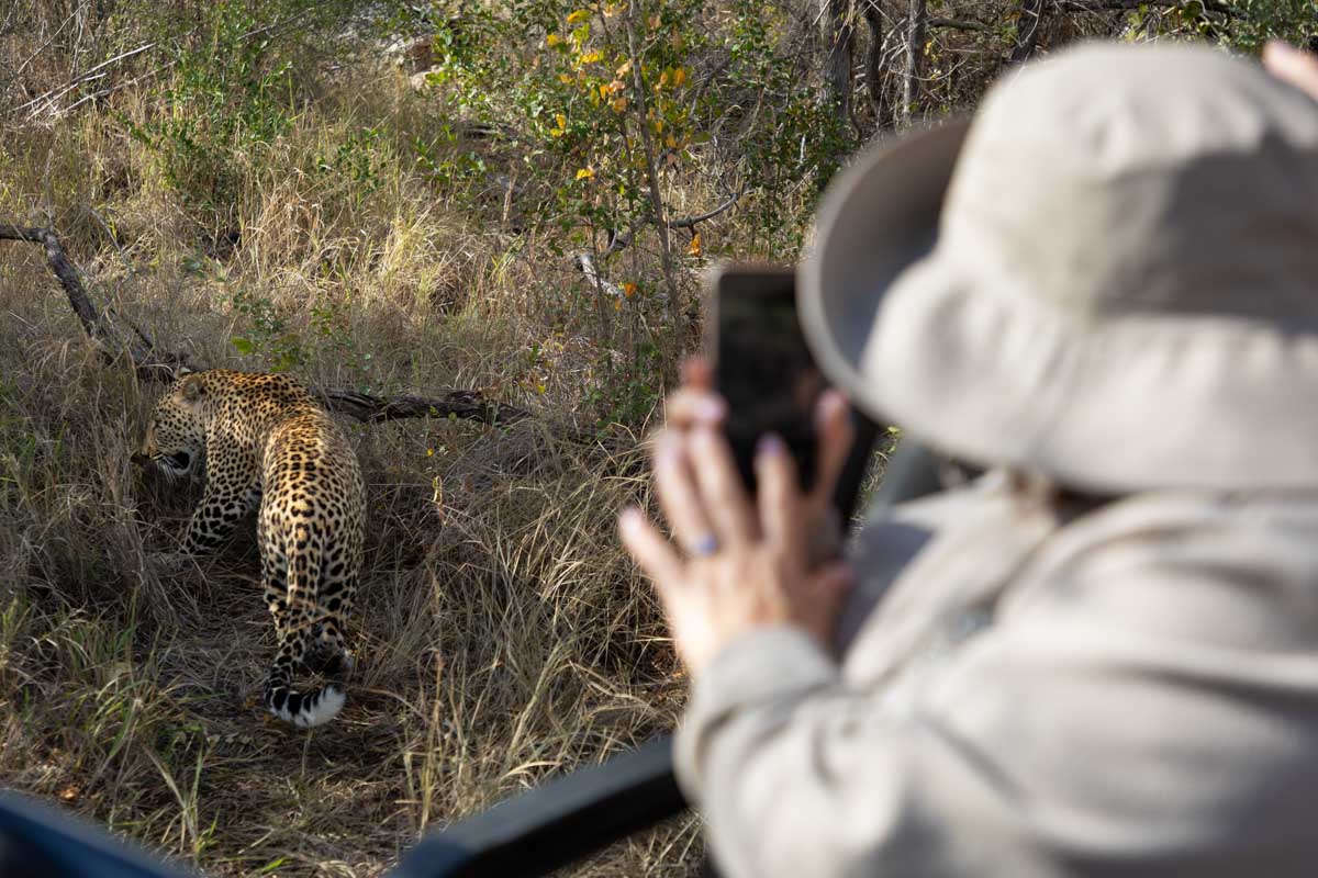 accommodation in kruger national