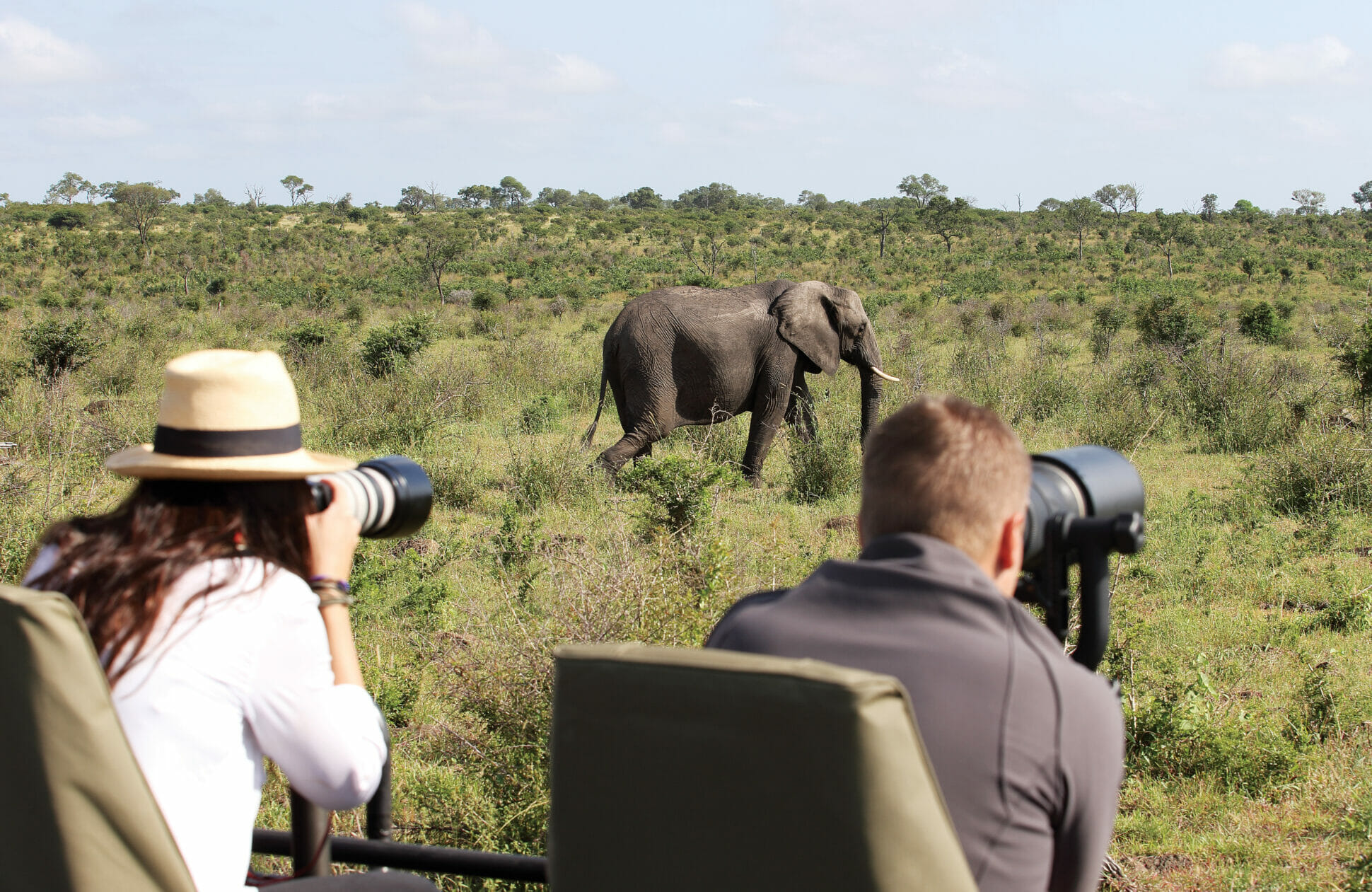 luxury african safaris