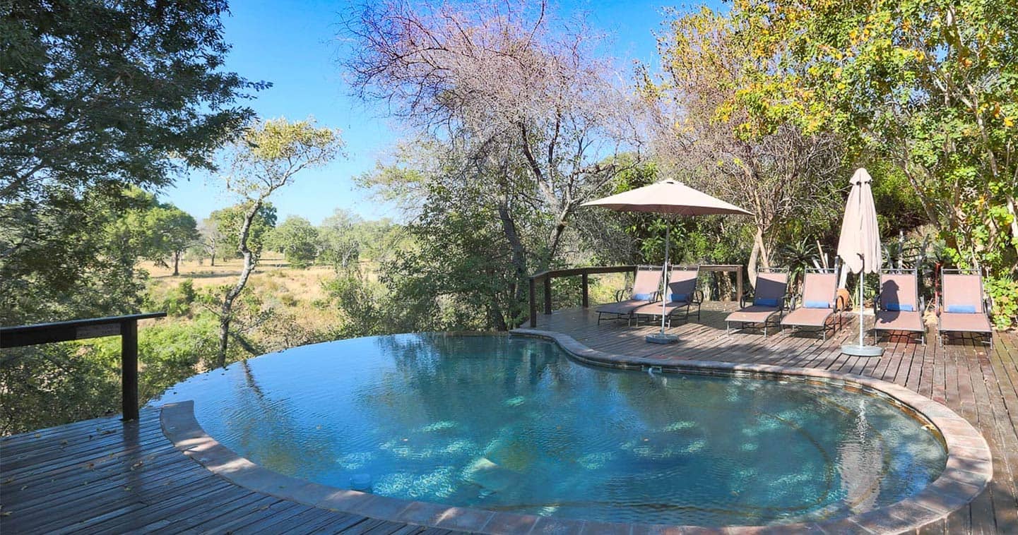 elephant game lodge south africa