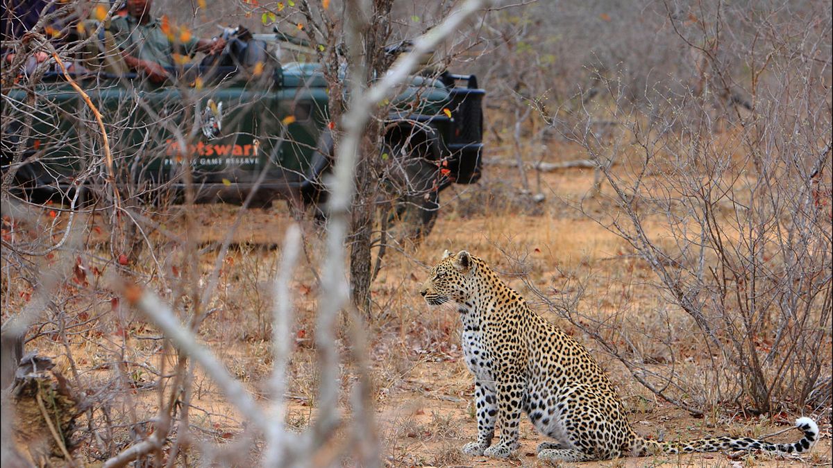 private safari tours