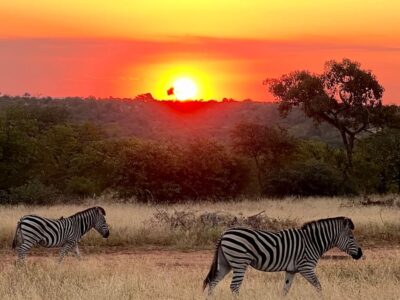 best private game reserves in south africa