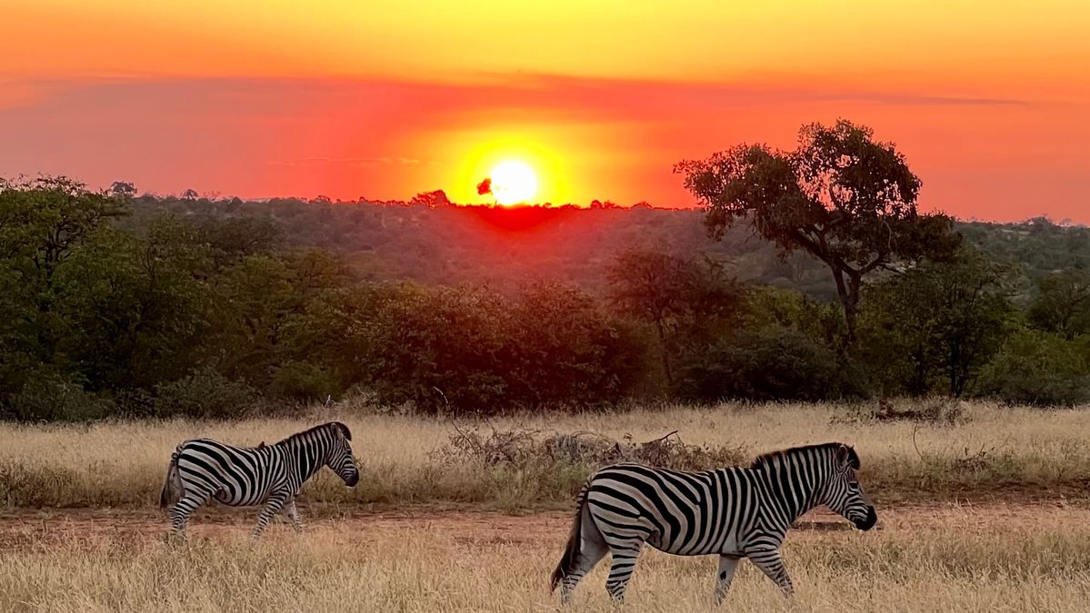 best private game reserves in south africa