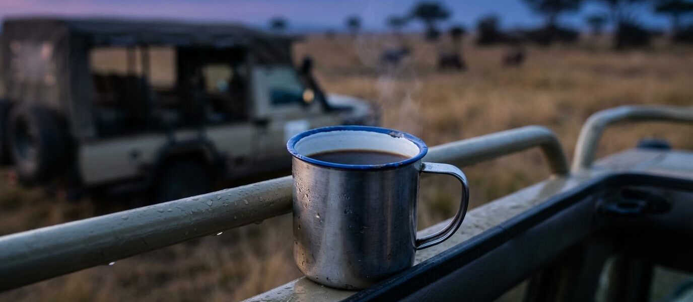 private reserves vs kruger national park