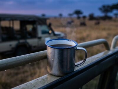 private-reserves-vs-kruger-national-park-3 private reserves vs kruger national park