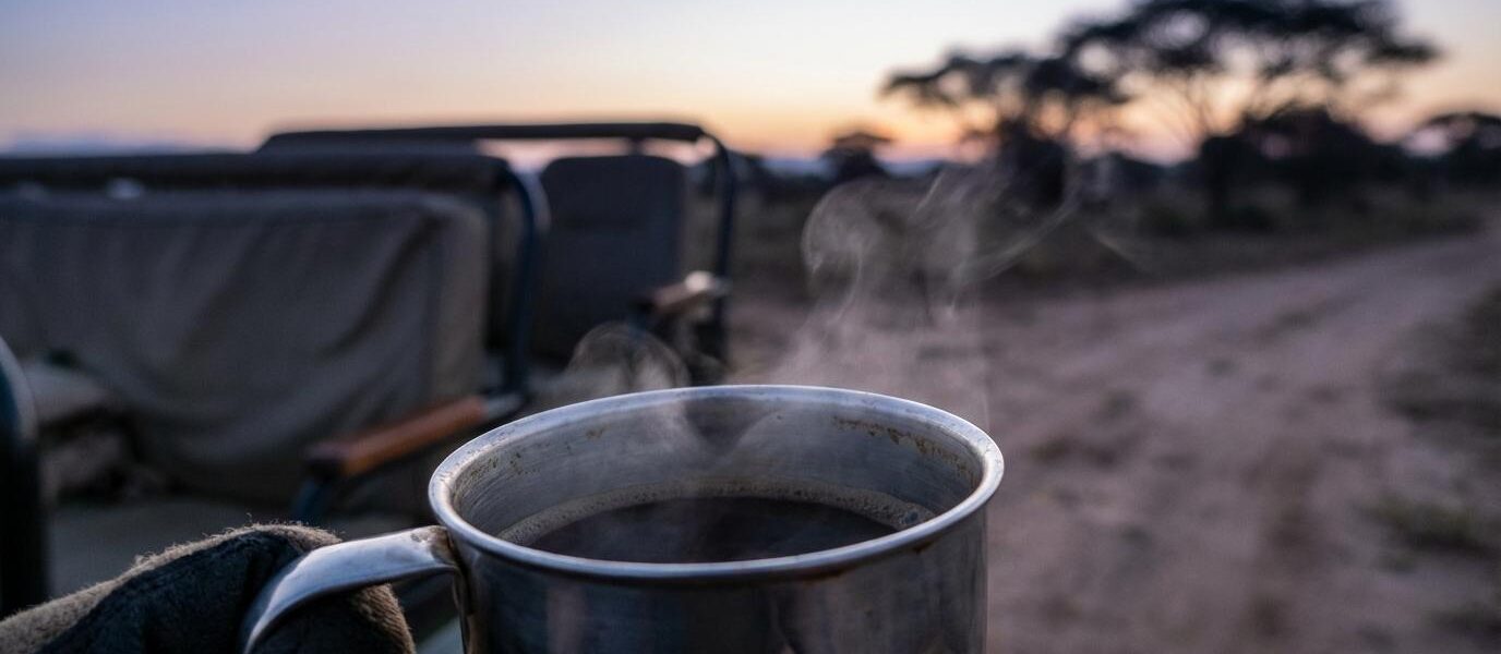 what a day on safari is like