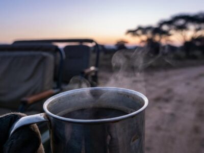 what-a-day-on-safari-is-like what a day on safari is like