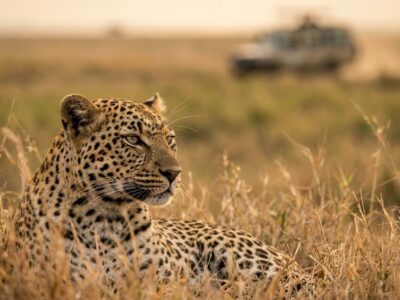 manyeleti vs klaserie