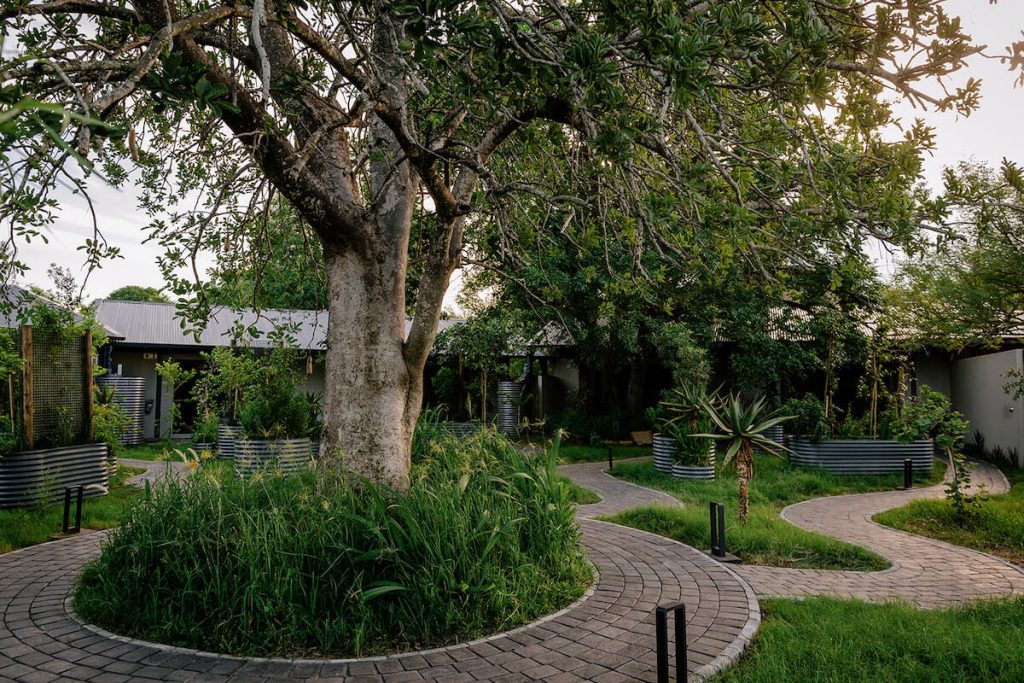 Kruger Shalati Safari