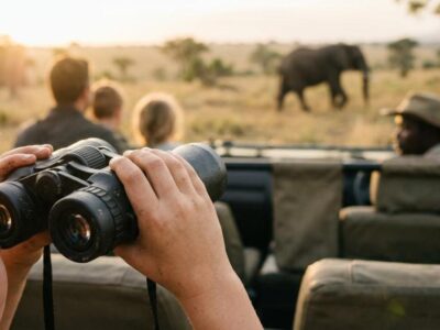 best family safari packages greater kruger