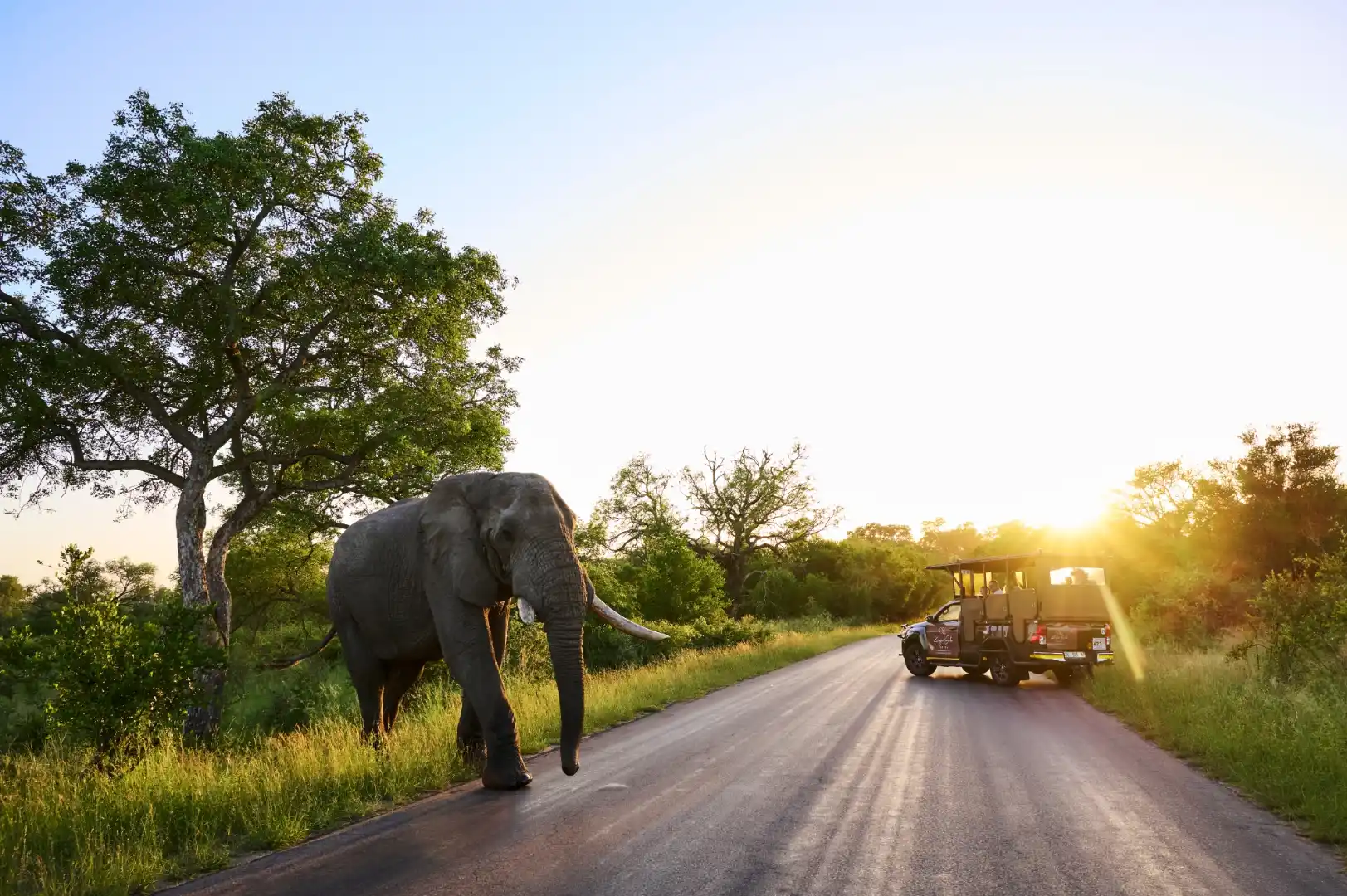 4 Day Kruger Safari from Johannesburg