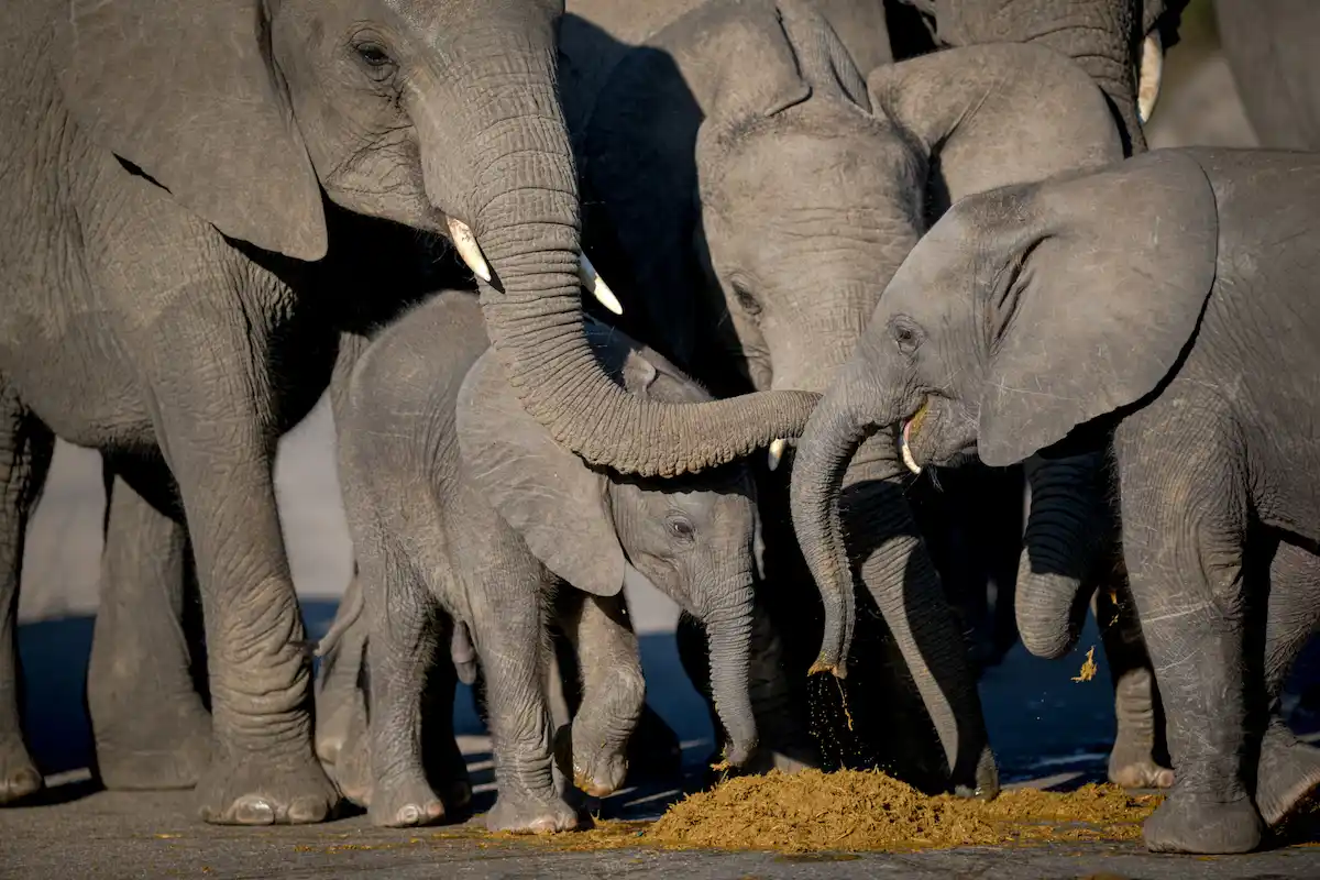 4 day kruger park safari