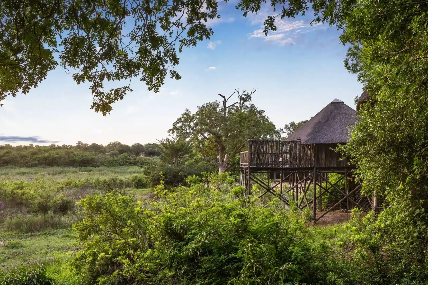 Kruger 3 Day Safari