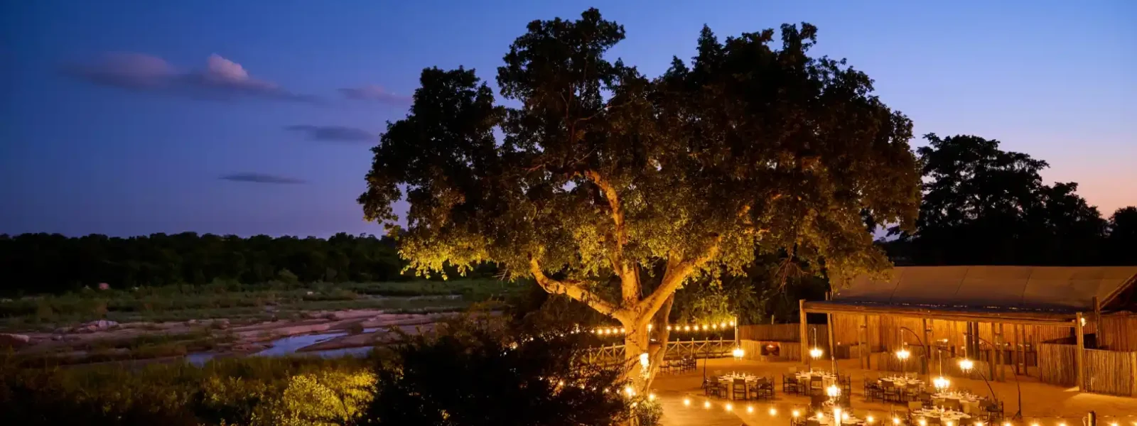 Kruger Safaris from Hazyview