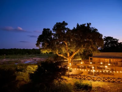 Kruger Safaris from Hazyview