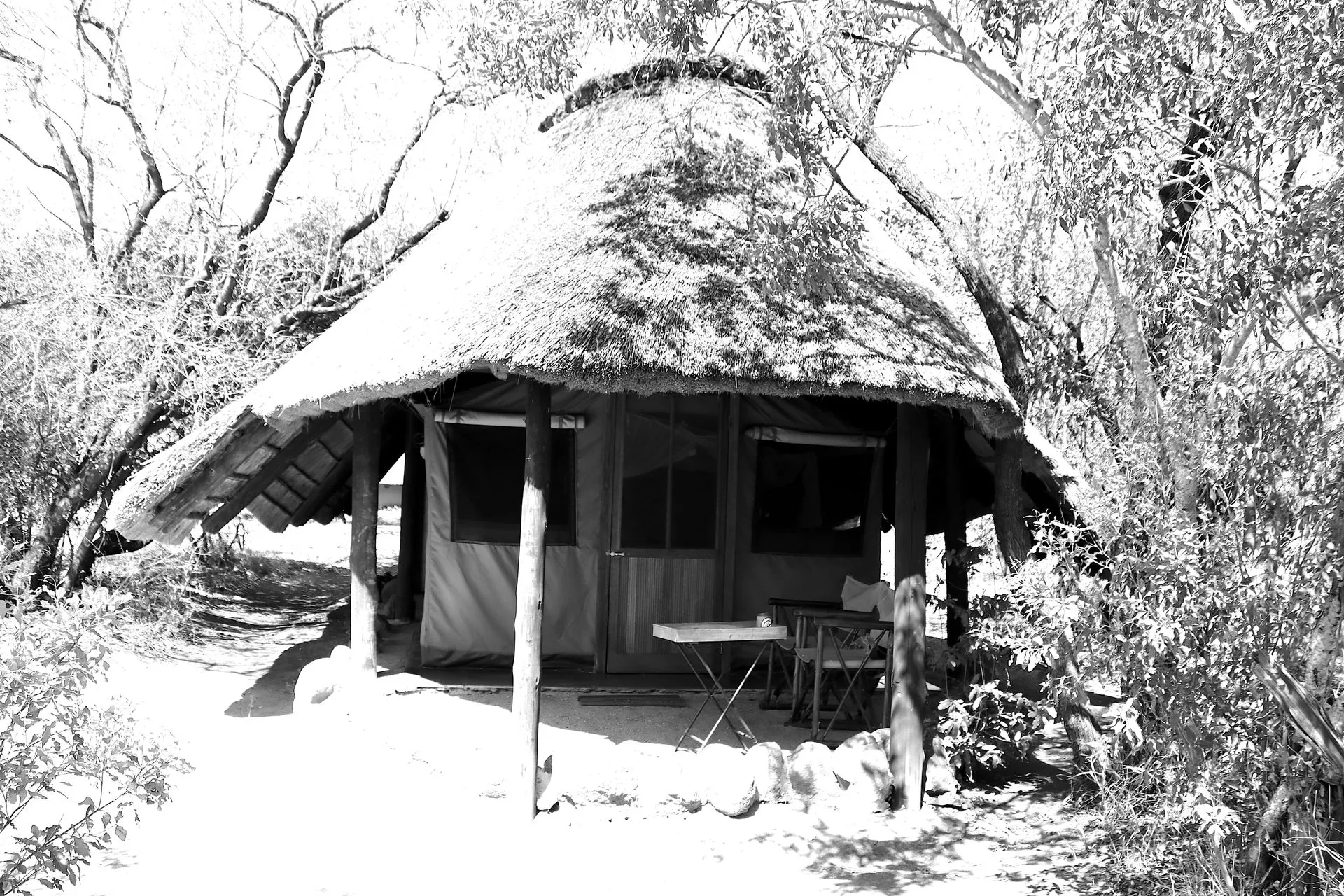 pungwe safari
