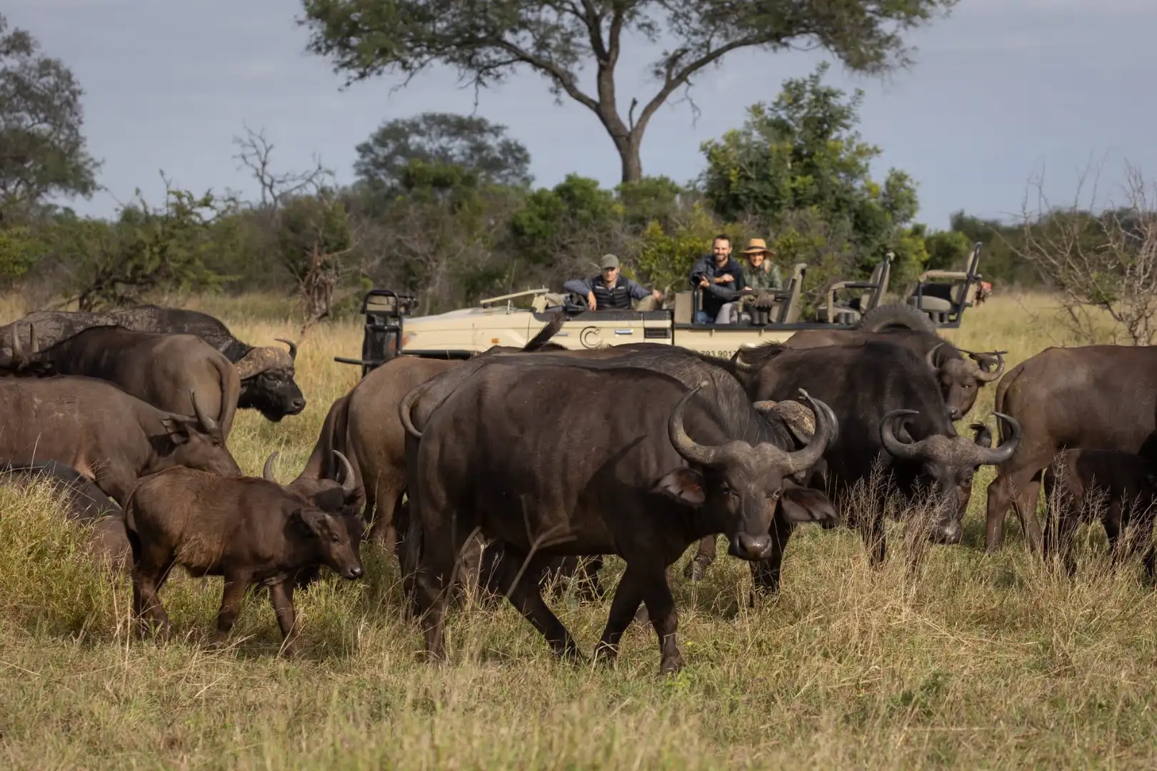 Tintswalo safari lodge