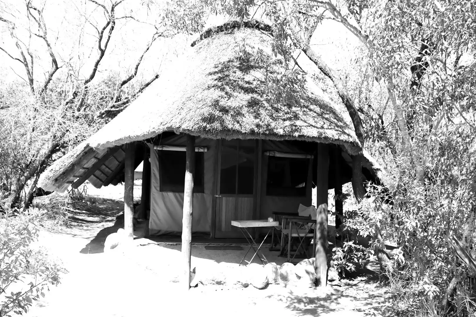 5-Day Manyeleti Explorer Safari