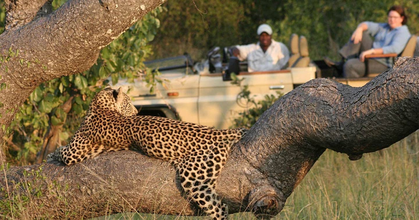 Tintswalo Safari Lodge